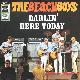Afbeelding bij: The Beach Boys - The Beach Boys-Darlin / Here today